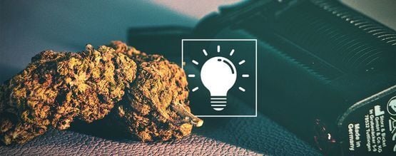 Guia para iniciantes sobre vaporizadores de ervas secas: anatomia e modo de utilização