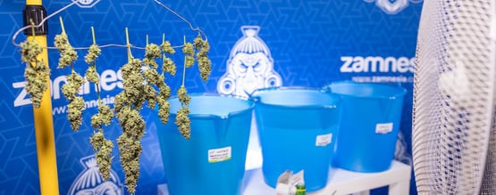 Lavagem de flores: O que é e porque deve fazê-la?