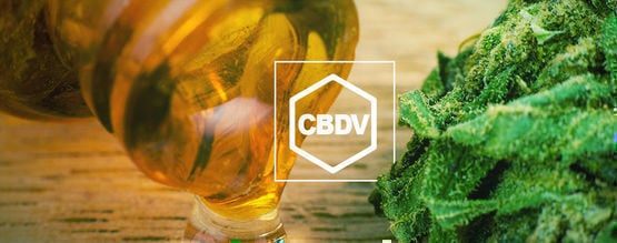 O que é o CBDV?