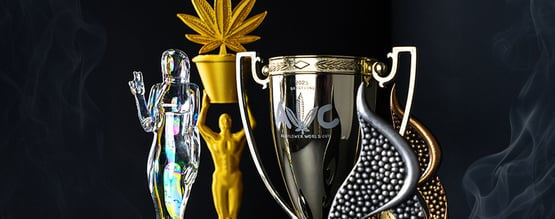 Celebrar a excelência: o nosso percurso premiado