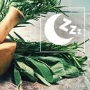 Melhores ervas naturais para promover o sono