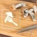 As melhores formas de consumir cogumelos mágicos