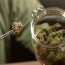 Como conservar erva corretamente