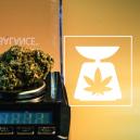 Pesos de cannabis: tudo o que precisa de saber
