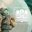 Tudo o que precisa de saber sobre trufas mágicas