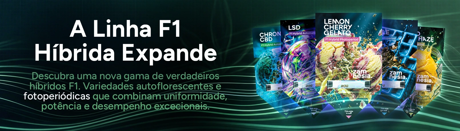 F1 Offerpage Banner PT_offer