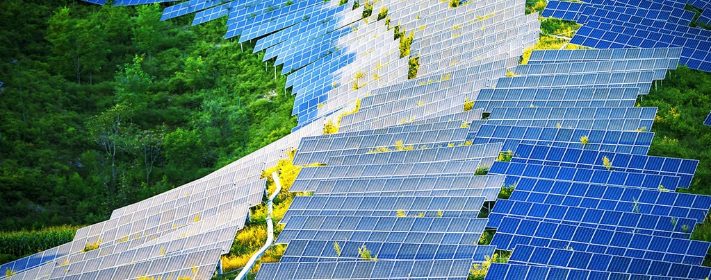 Como os painéis solares podem revolucionar as salas de cultivo