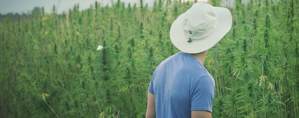 Famoso pioneiro do cannabis, Franco Loja, morreu aos 42 anos