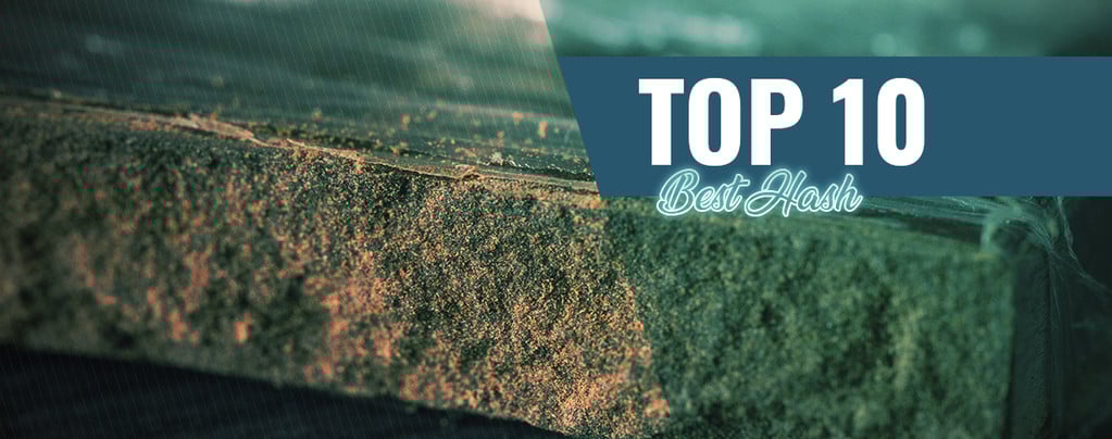 Top 10 Best Hash In Amsterdam
