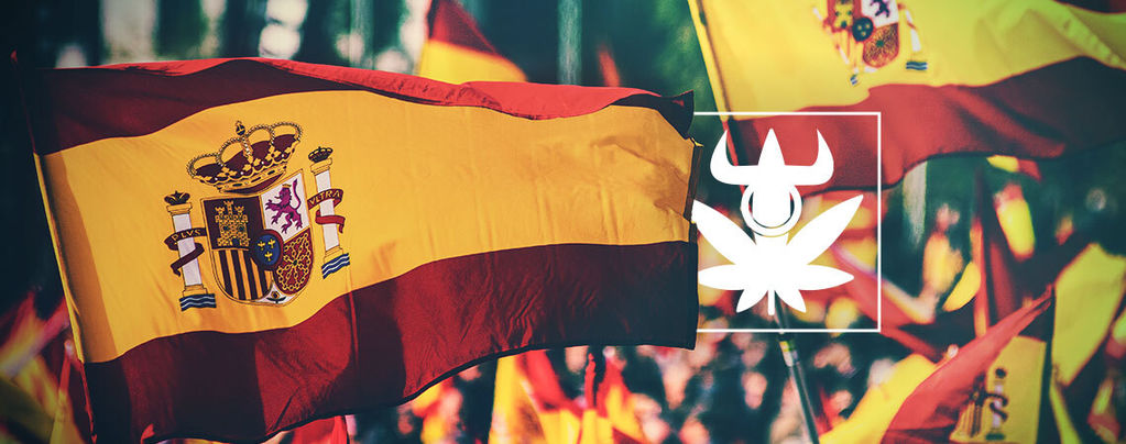 As 10 melhores variedades de canábis dos clubes espanhóis