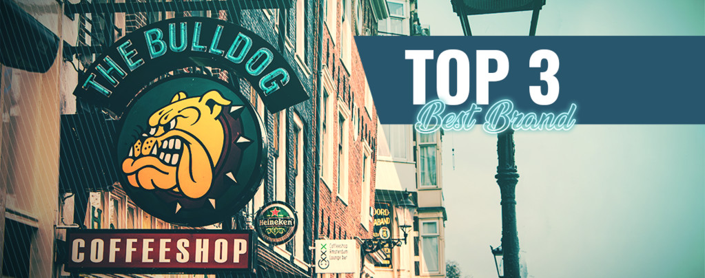 Top 3 melhores coffeeshops de marca em Amesterdão
