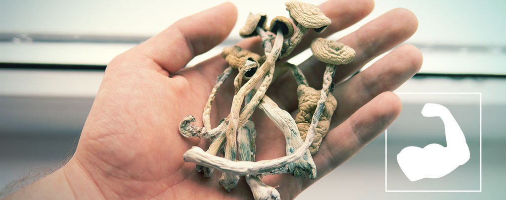 What Are The Strongest Magic Mushroom Species?