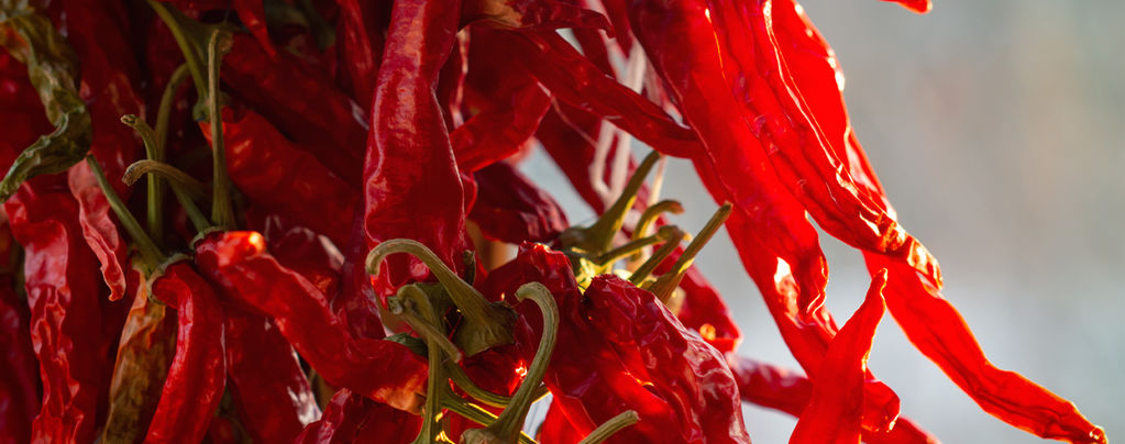Como cultivar pimentos cayenne long slim