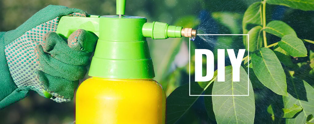 How To Make Natural Pesticides For Hot Pepper Plants