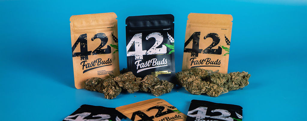 FastBuds: Cannabis de qualidade dispensário em tempo recorde