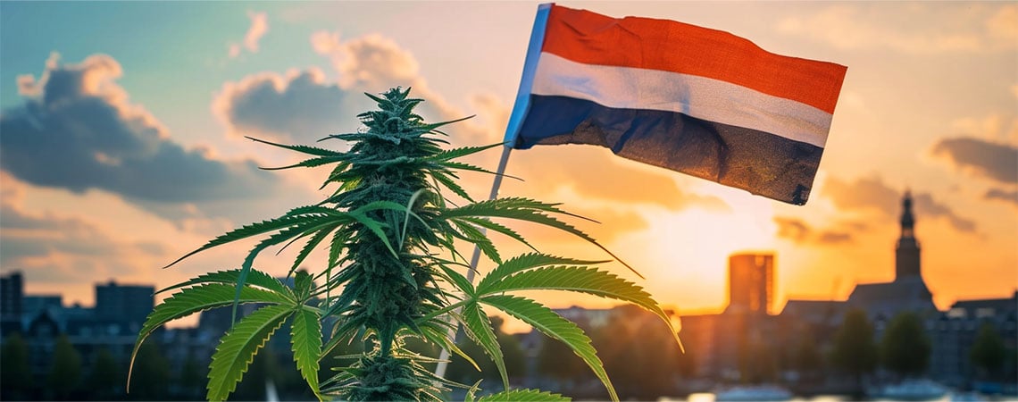Nova era para a canábis nos Países Baixos com início das vendas legais