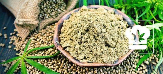 Como fazer farinha de cannabis