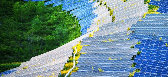 Como os painéis solares podem revolucionar as salas de cultivo