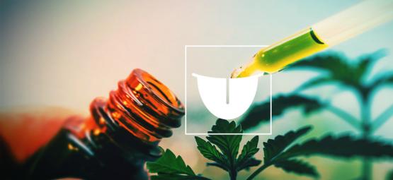 Porque escolher uma tintura de canábis sublingual é a melhor opção