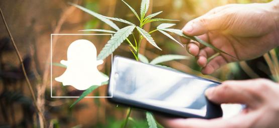 9 contas de cannabis a seguir no Snapchat