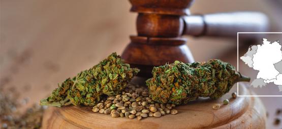 Alemanha legaliza o consumo de canábis em 2024