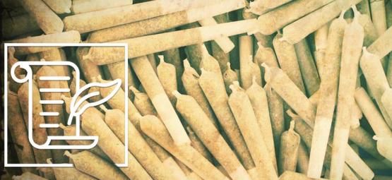 Cultura da cannabis: a história do charro