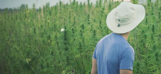 Famoso pioneiro do cannabis, Franco Loja, morreu aos 42 anos