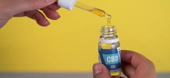 Benefícios do óleo de CBD: Vale a pena utilizar?