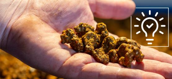 12 dicas para uma excelente experiência com trufas mágicas
