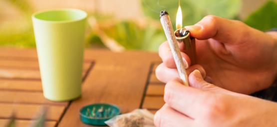 Wake and bake: As melhores variedades de canábis para começar o dia