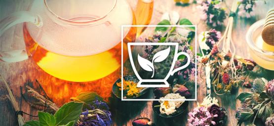 10 melhores ervas para preparar chá