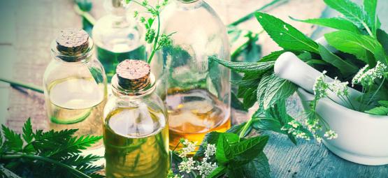 Como preparar as suas próprias tinturas de plantas em casa