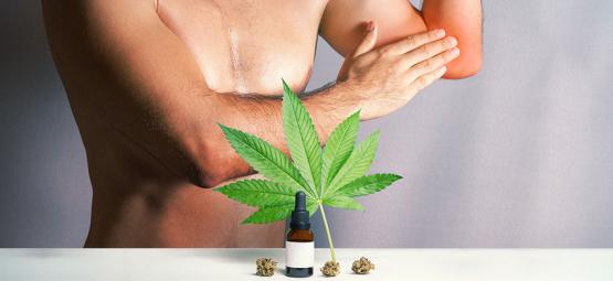 Estudo: Cannabis pode ajudar a combater espasmos musculares e cãibras