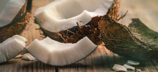 Pode reutilizar fibra de coco?