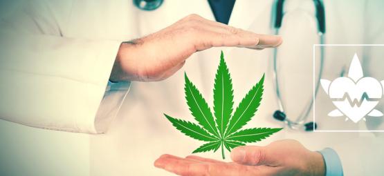 Qual é a melhor forma de utilizar canábis medicinal?