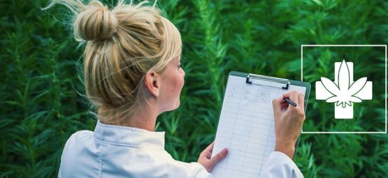 Como escolher a variedade medicinal adequada para si