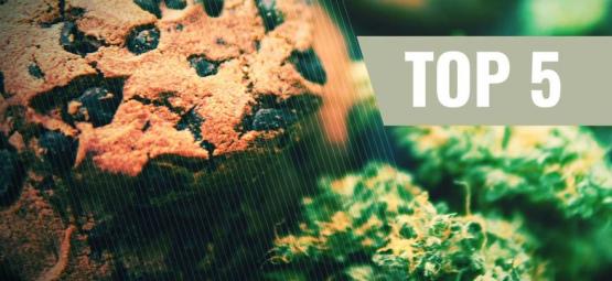 Top 5 receitas de bolachas de cannabis