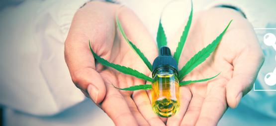 O que é o CBG e como se compara ao CBD?