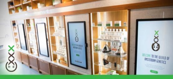 Centro de Informações Coffeeshop