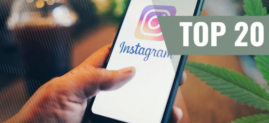 20 melhores contas de Instagram sobre cannabis a seguir [Atualização 2024]