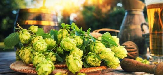 O que é o dry hopping?