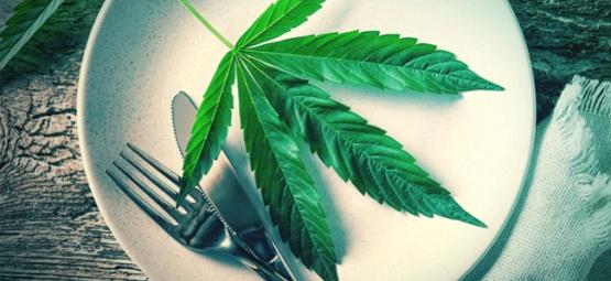 A folha de cannabis crua é um superalimento?