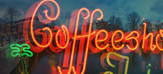 Visitas de Zamnesia aos coffeeshops de Amesterdão