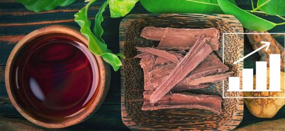 Como cultivar Banisteriopsis caapi a partir de sementes