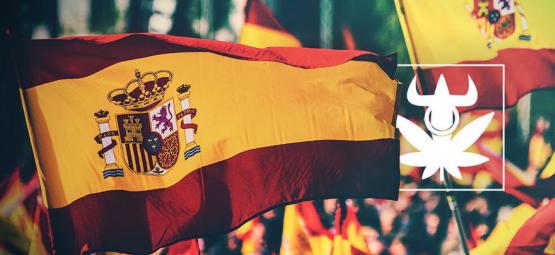 As 10 melhores variedades de canábis dos clubes espanhóis