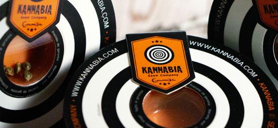 As 10 melhores variedades de cannabis da Kannabia Seeds