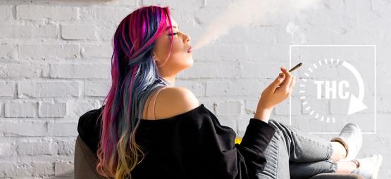 Durante quanto tempo o THC permanece no organismo?