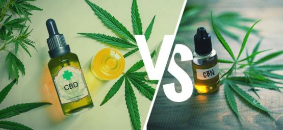 CBD vs CBN: quais são as diferenças?
