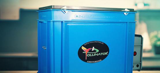 Pollinator: Produção simples de haxixe em casa