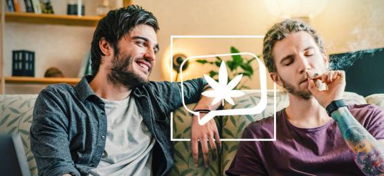 6 variedades de cannabis para te sentires mais sociável e conversador